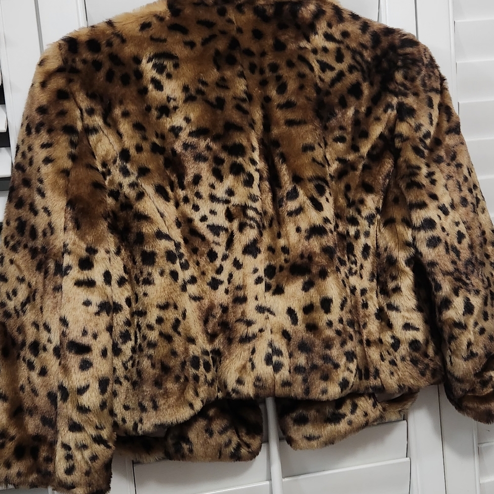 Loft Jacket - Picture 5 of 5